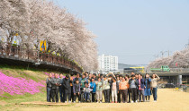 벚꽃엔딩~(금산천)